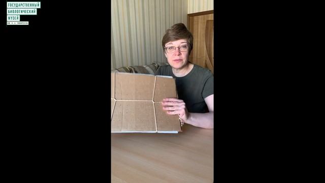 Мастер-класс "Научный гербарий своими руками" смотреть онлайн