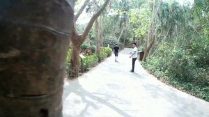 Санья - Остров обезьян ( Sanya - monkey island)