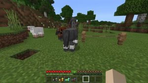 How to Obtain and Use Horse Armor! | Easy Minecraft Tutorial