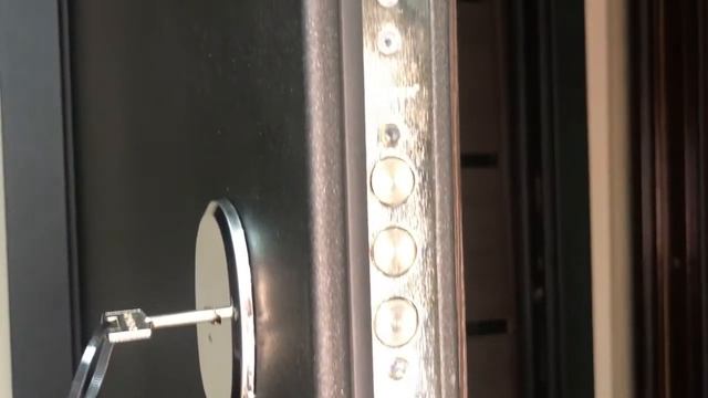 ВХОДНАЯ ДВЕРЬ ГАРДА МУАР ЦАРГА. Отзывы. дверис