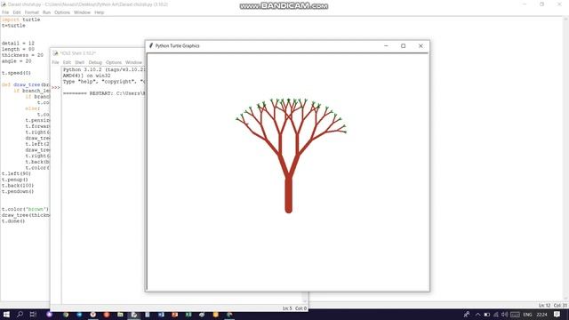 Python art