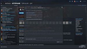 Skyrim Special Edition not working Steam (Skyrim SE Steamde açılmıyor.)