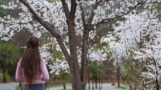 ☔ 물폭탄 폭우속에 벙커 텐트 + 타프 차박 도킹 괜찮을까? 🌧 우중 캠핑ㅣ솔로 캠핑ㅣ차박 캠핑 ㅣ어반사이드 벙커텐트 ㅣ캠핑 브이로그