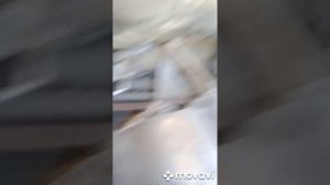 СТУК В ДВИГАТЕЛЕ,ШУМ,ГРАНТА,ПРИОРА,КАЛИНА,ВАЗ.