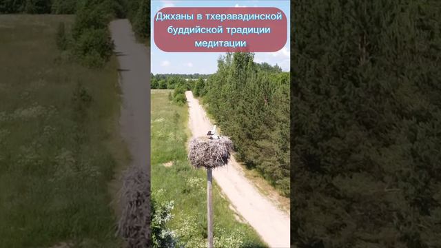 Джханы в тхеравадинской буддийской традиции медитации.