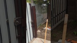 Калитка и забор из евроштакетника