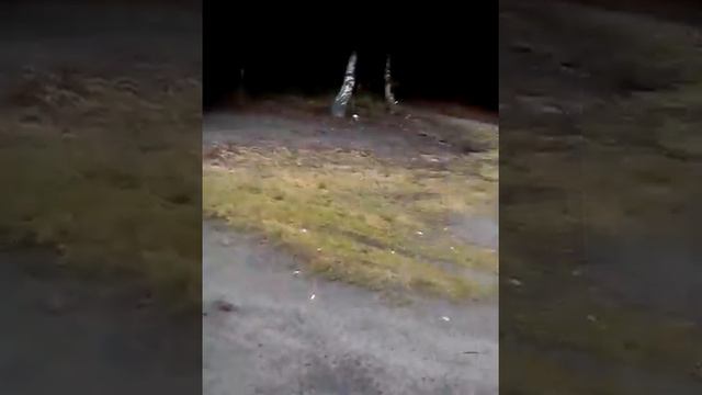 Vlog: Иду на речку с Mr.Keeper смотреть онлайн