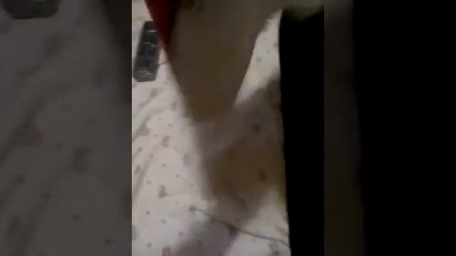 Как правильно и красиво сложить вещи смотреть онлайн