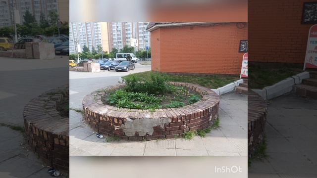 Ответ от администрации города Красногорска на сайте ВКонтакте по клумбе