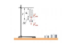 7  класс урок №25  Деформация. Закон Гука.