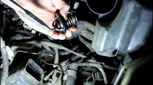 Замена термостата двигателя на Toyota Harrier MCU30 Тойота Харриер 2004 года