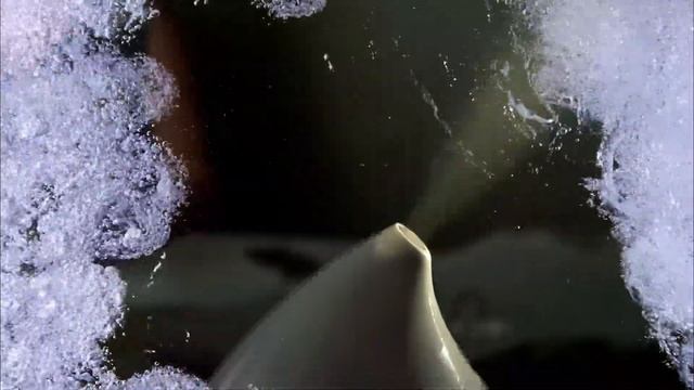 Neoclima NHL 200L 2017 смотреть онлайн