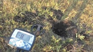 Залог успеха при копе: Тёрка 705 + катушка DD + наушники