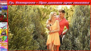 Гр.Экспресс - При долине куст калины