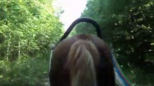 жизнь в деревни архангельской области