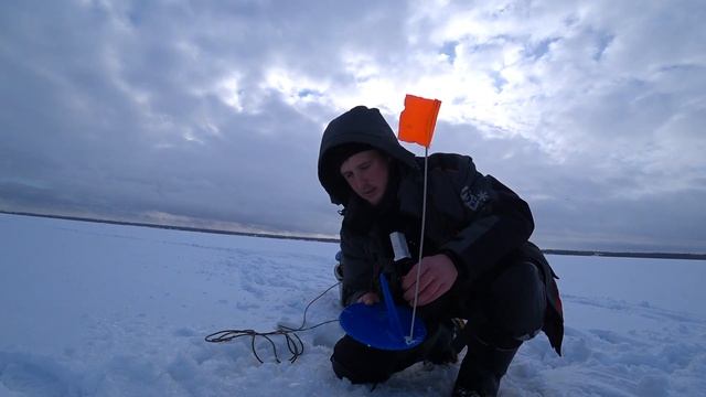 Ловля ОКУНЯ на ЖИВЦА.КРУПНЫЙ окунь на ЖЕРЛИЦЫ!