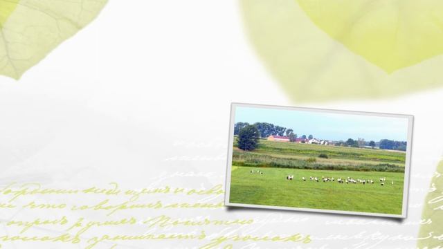 POLISH 78rpm recordings in the US, 1951. DANA 728. Helcia / Z Brooklyna Dziewczyna. Gene Wisniewski смотреть онлайн