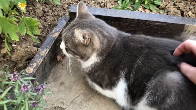 Для тех кто хотел МК по салфетке "сова" - пожалуйста вот он .( 03.10.23) смотреть онлайн