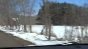 Поехали! USA. Катскильские горы зимой