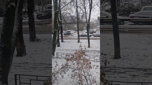 Разучились мы жить маленькими радостями- первому снегу,липким листочкам на берёзе .. смотреть онлайн