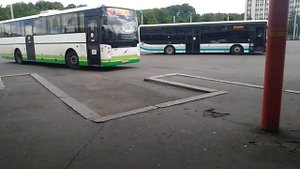 Автобус с маршрутом  N 141 А Калининград Автовокзал- Зеленоградск