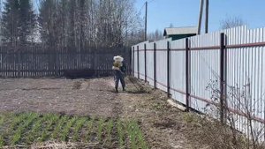 БОРЕМСЯ С ЛЕСНЫМ КЛЕЩОМ!