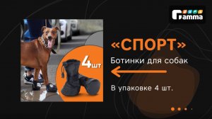 Ботинки "Спорт" для собак