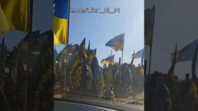 Такая картина сейчас по всей украине