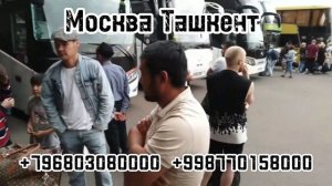  Москва Ташкент автобус #москва #ташкент #автобус #шортс #санктпетербург #казань #нижнийновгород