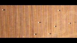 Самые Молодые Страны | Новые Независимые Страны на Карте Мира