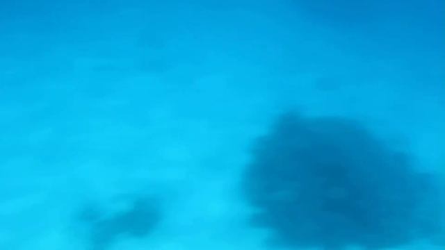 Из окна Батискафа смотреть онлайн