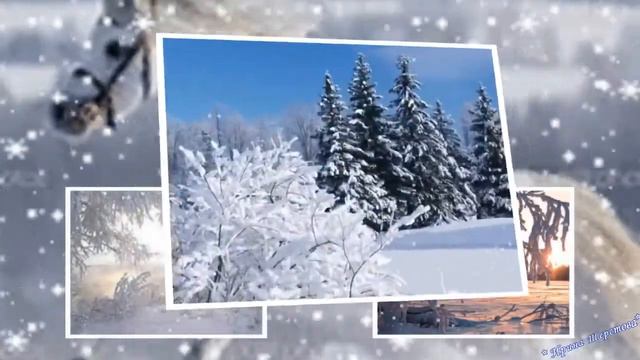 С Новым годом! Сибирская метель для вас! смотреть онлайн