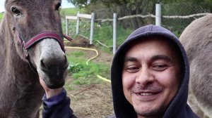 НАЧИНАЮ СТРОИТЬ САРАЙ ДЛЯ ЖИВНОСТИ