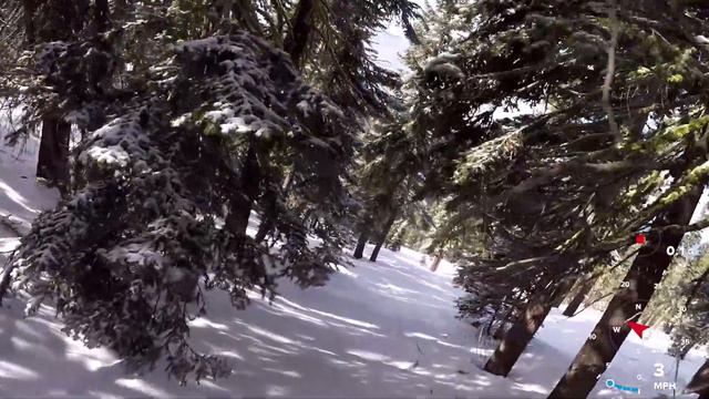 Northstar - Rail Splitter Trees смотреть онлайн
