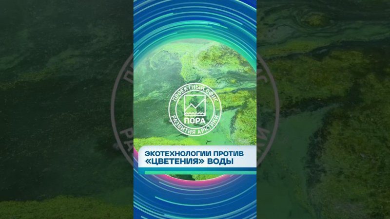 Михаил Гладышев рассказал посетителям московского парка Зарядье о методах очистки природных водоемов