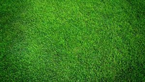 Дом в раю для троих  ИСЛАМ. Хадисы про Рай. Рай В Исламе