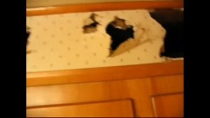 Альбано и Рамина Пауэр. Танец маленьких утят (20 минут).  Музыка