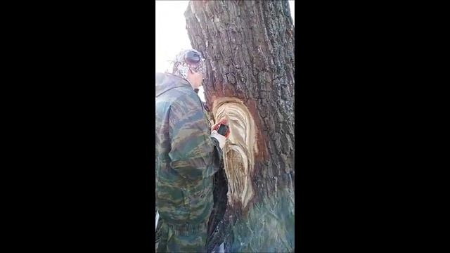 Резьба бензопилой по дереву первый урок . смотреть онлайн