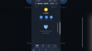 Binance Pay и Trust Wallet / Как Пользоваться / Что нужно знать