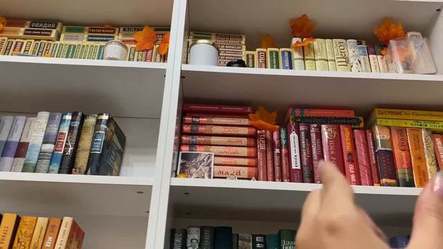 Заполняю НОВЫЕ КНИЖНЫЕ ПОЛКИ? (+перестановка)