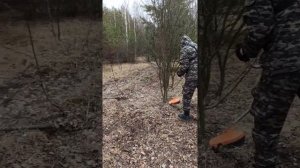 Я + STIHL FS 250 = ???. Часть 2.