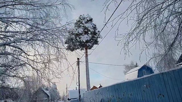 Зима на севере смотреть онлайн