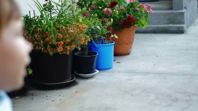 Panasonic Lumix GH4 / Speed Booster XL 0.64x / Canon Pancake EF 40mm смотреть онлайн