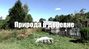 Природа в деревне и звуки природы (петухи, индюки, коровы, лошади, птицы, свиньи, собаки)