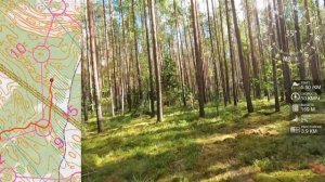 Спортивное ориентирование (headcam orienteering) - Фестиваль Алоль 2022, ЧиП СЗФО, 3 день - 17.07.2