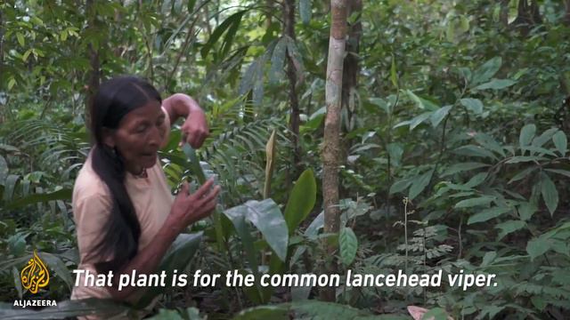 The Amazonian Tribe Defending Their Land With Technology