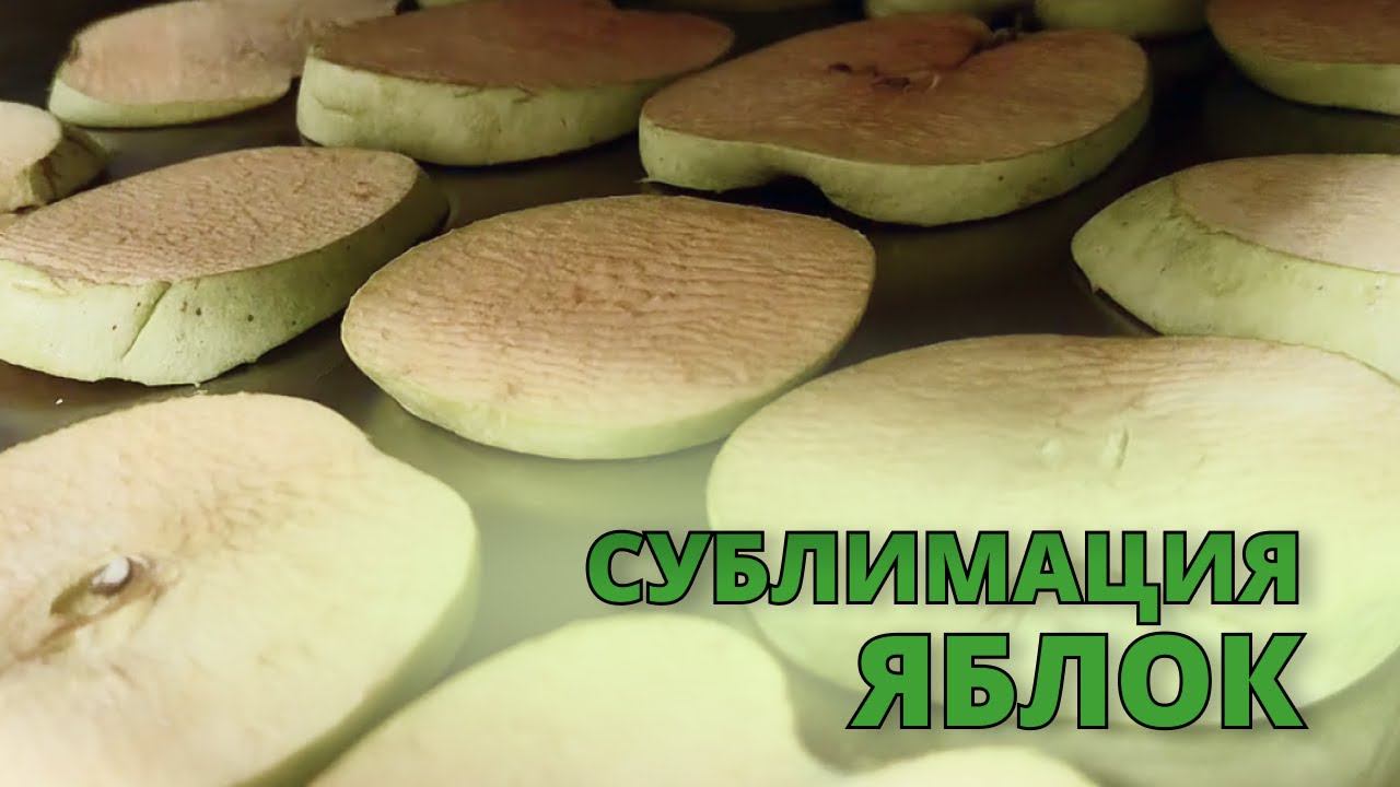 Сублимационная установка B-tasty: сублимация яблок