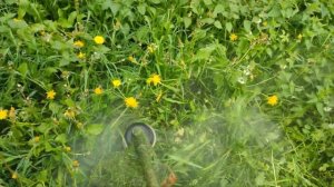 Stihl FS560(Штиль ФС 560), покос травы ,воспоминания о летних деньках