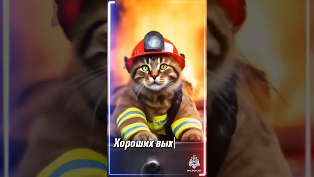 ♥️ Коты-пожарные МЧС России желают хороших выходных #Хороших_выходных #МЧСКубань #КотыПожарные