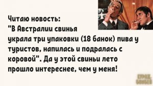 Аморальные мемы: название месяца, поиск мужчины и сумка инкассатора #анекдоты #юмор